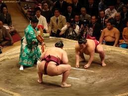 Sumo Tour Nagoya Tournament